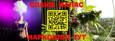 твердый Лесосибирск