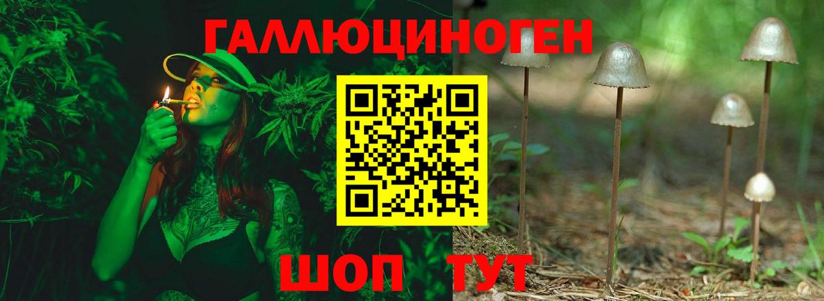 Галлюциногенные грибы ЛСД  Псилоцибиновые грибы мицелий  Вход с VPN  купить   Камень-на-Оби 
